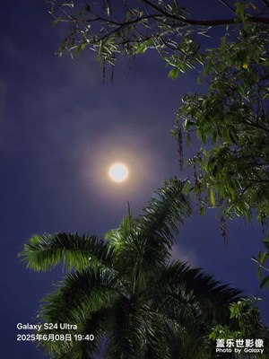 【遇見最美夏日】夏夜之月高高掛