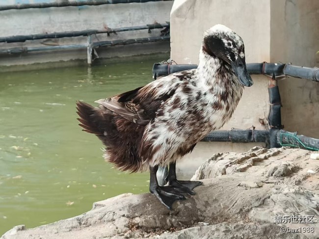 【團結(jié)湖公園】+水上世界