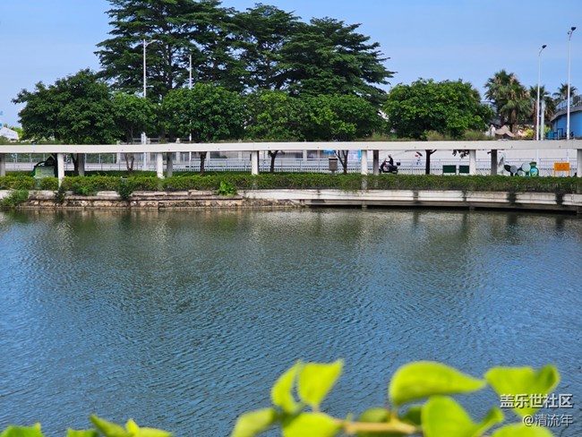 【華北夏韻】夏日炎炎