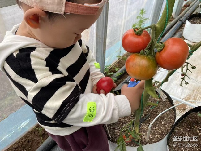 【粽夏童趣】+相互陪伴