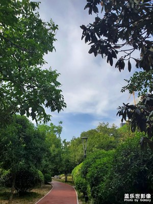 【遇見最美夏日】+午后隨拍