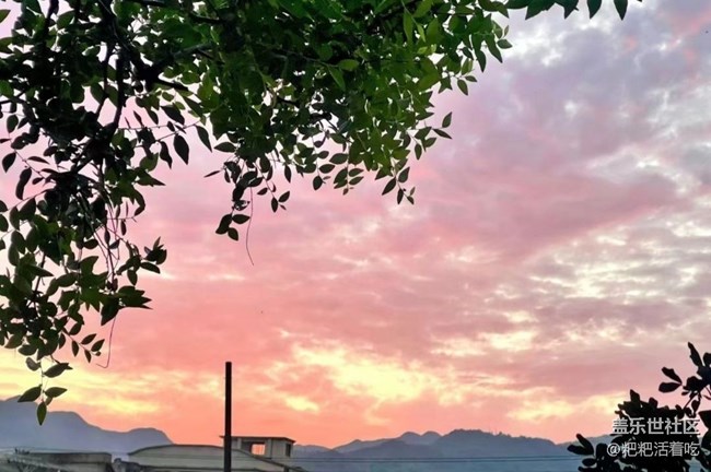 【浪漫盛夏季】美好一天