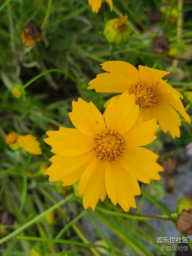 【端午童行記】雨后漫步