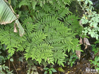 【遇見最美夏日】+隨拍路上