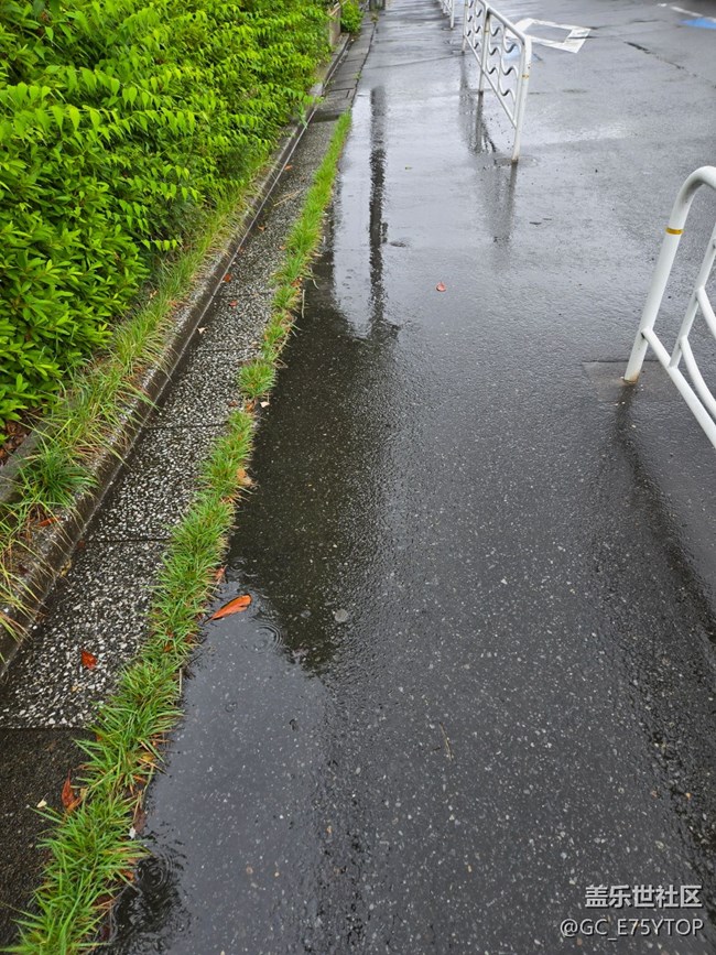 【梅雨光影詩(shī)】天氣雨心情晴
