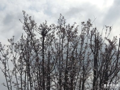 【遇見最美夏日】+遇見美好