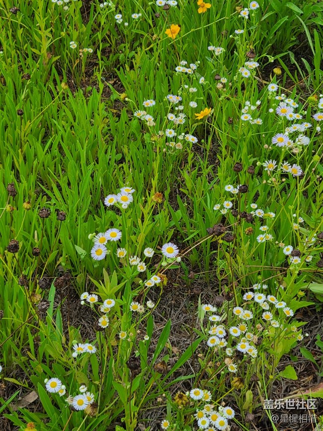 【端午童行記】雨后漫步