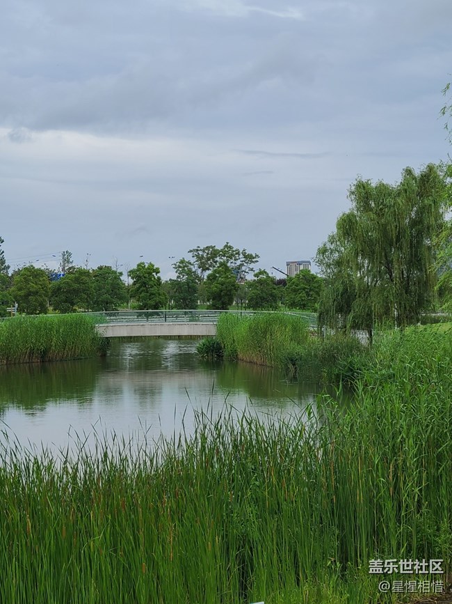【端午童行記】雨后漫步