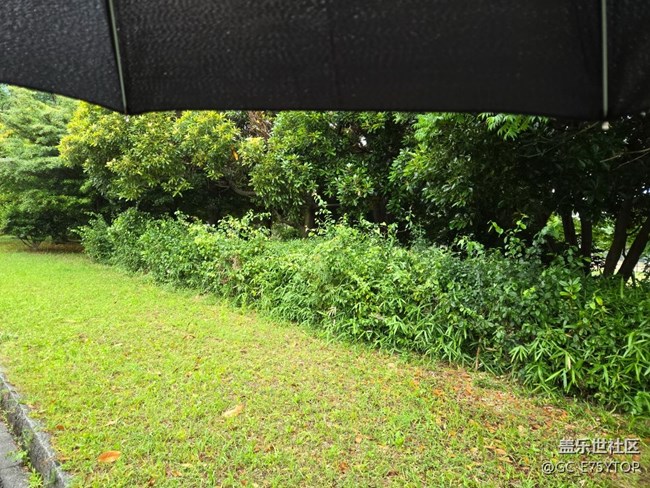 【梅雨光影詩(shī)】天氣雨心情晴