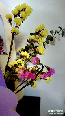 【遇見最美夏日】隨手拍