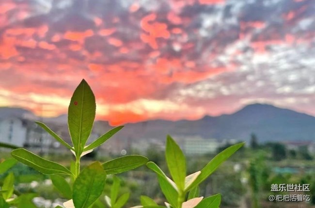 【浪漫盛夏季】美好一天