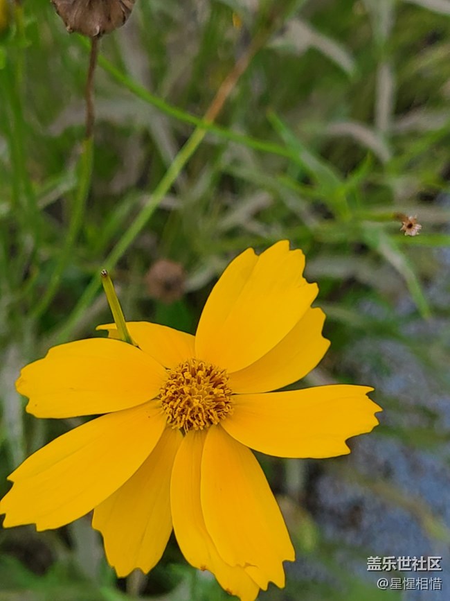 【端午童行記】雨后漫步