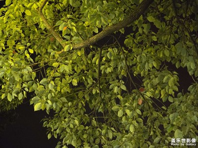 【遇見最美夏日】+夏日美好