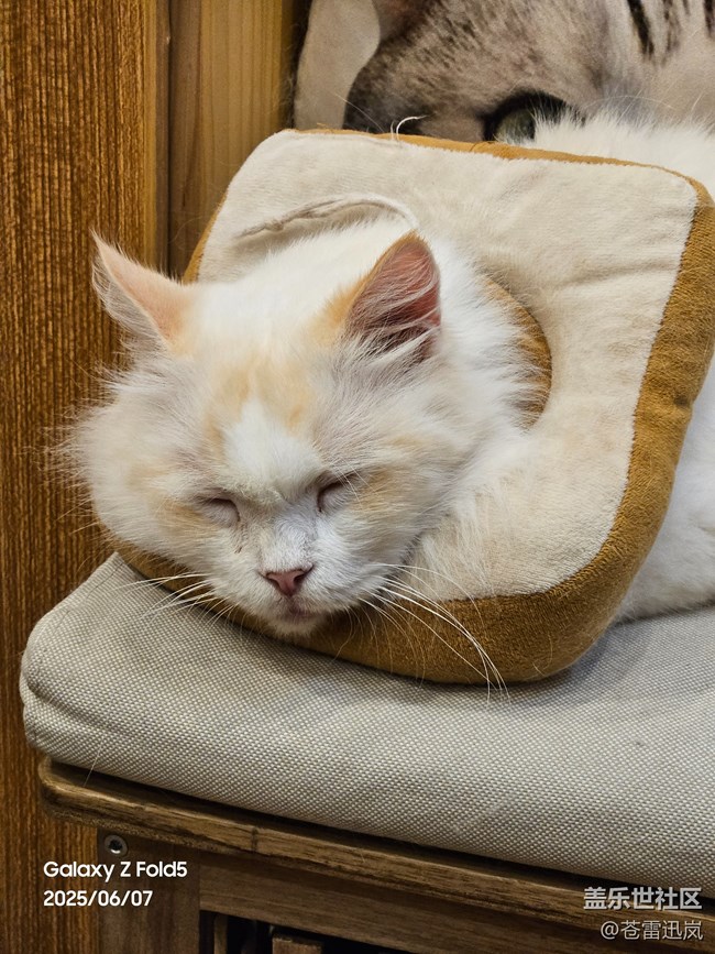 【超薄手機S25edge】感受超薄魅力