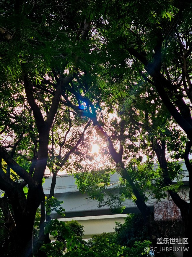 【華北夏韻】雨過天晴