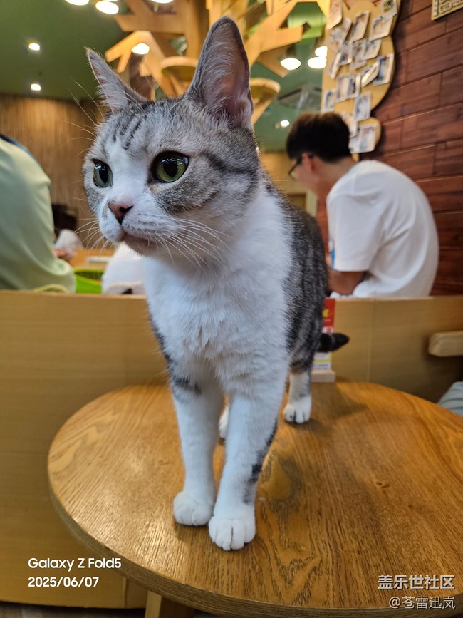 【超薄手機S25edge】感受超薄魅力