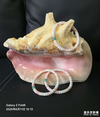 【鏡頭里的六月】女王鳳凰螺手串