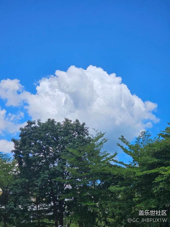 【華北夏韻】雨過天晴