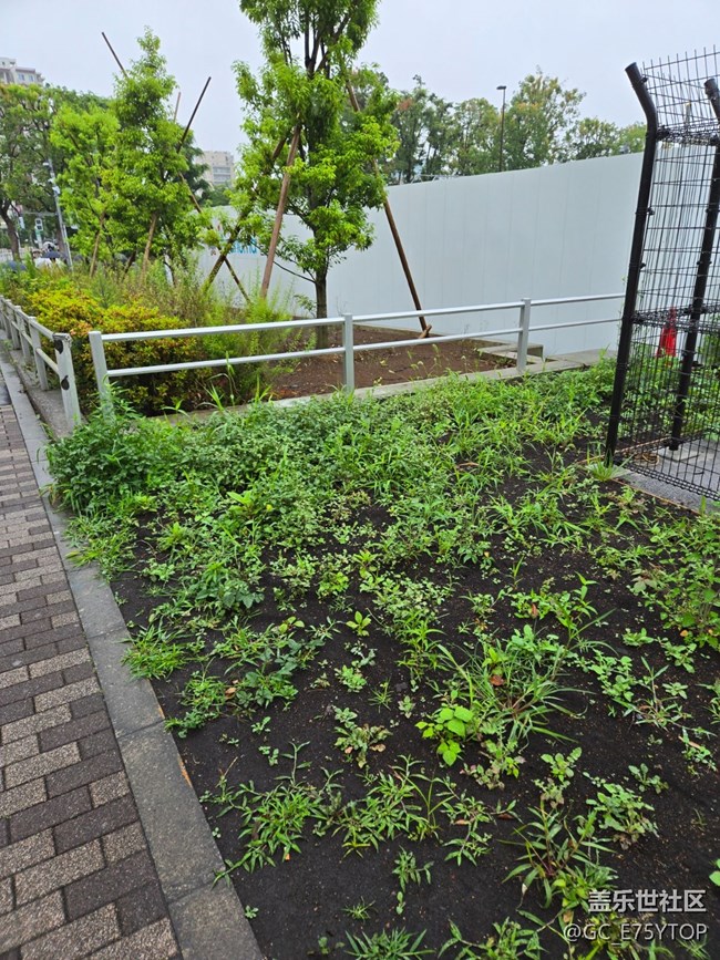 【金陵六月食光】雨天午餐