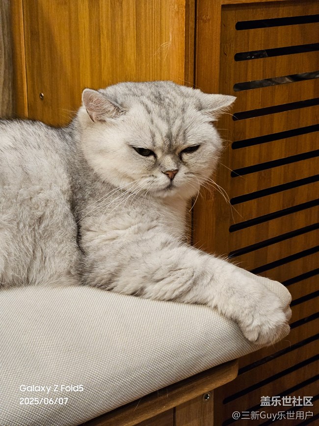 【萌寵星光大道】大黑臉和大花臉