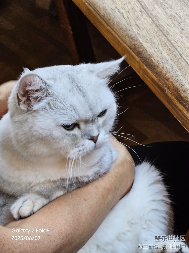 【萌寵星光大道】大黑臉和大花臉