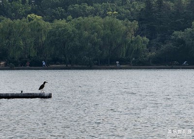 【鏡頭里的六月】夏日色彩