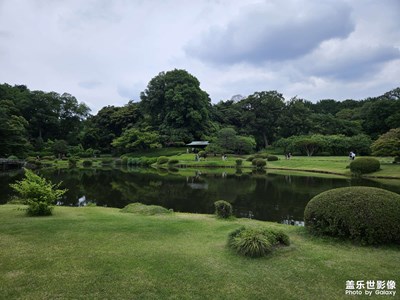 【鏡頭里的六月】+六月的新宿御苑