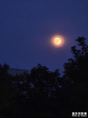 【鏡頭里的六月】+六月的月