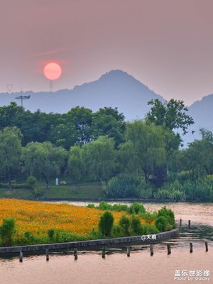 感受盛夏的美好時(shí)光