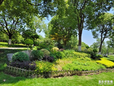 【鏡頭里的六月】+綠草茵茵