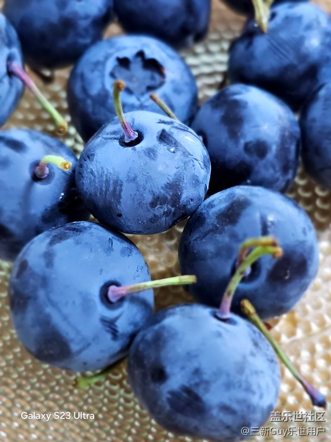 【一抹清涼】夏日水果