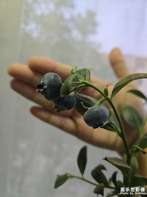 【鏡頭里的六月】+6月隨手拍