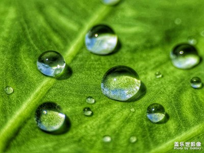 S23 Ultra 大大的世界 小小的我