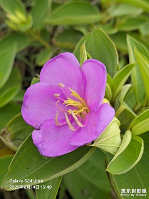 【鏡頭里的六月】潮退登島, 生命與自然的交響樂