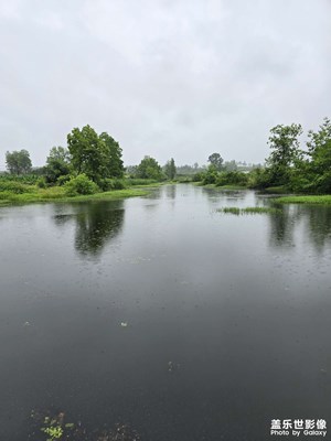 【鏡頭里的六月】+六月的景色