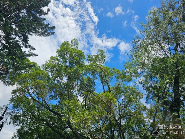 【華北夏韻】夏天的公園