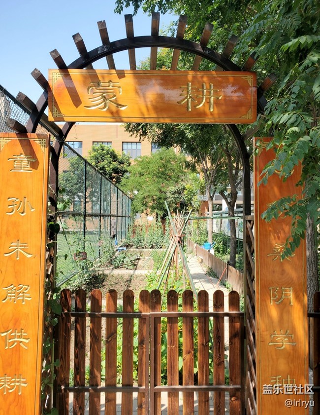 【浪漫盛夏季】清新夏日