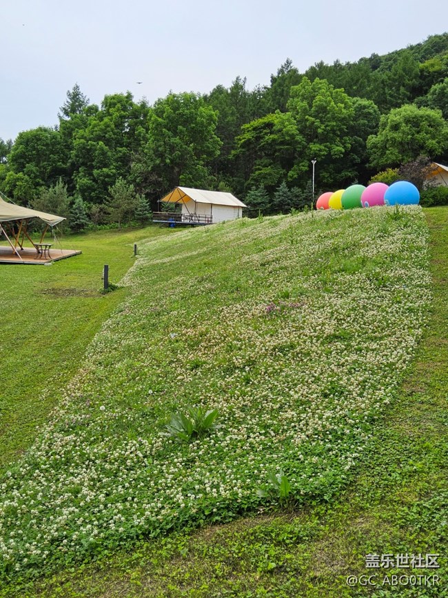 【薄機(jī)天花板與山野露營(yíng)】＋在露營(yíng)地體驗(yàn)三星新機(jī)