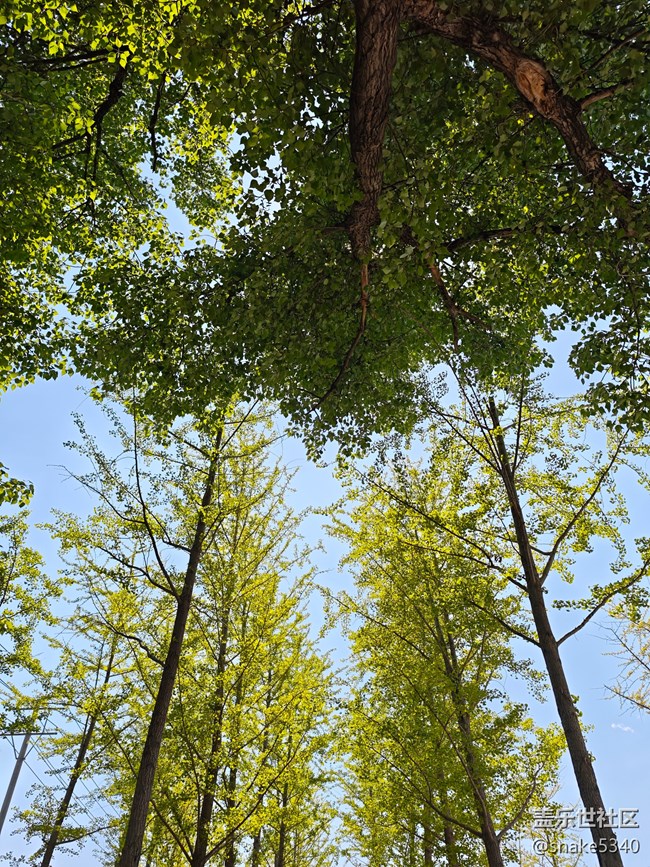 【瞬間及永恒】+金榜題名