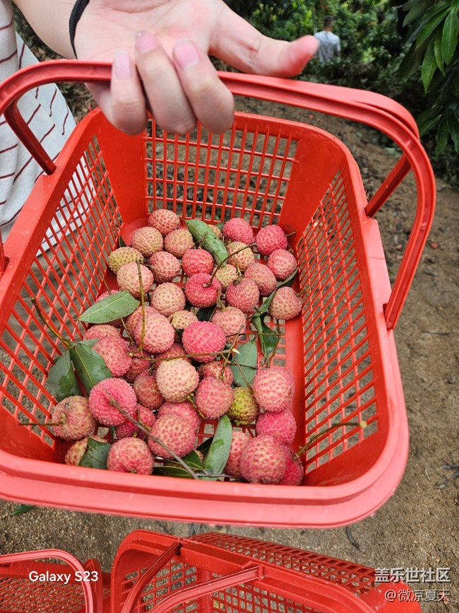 【活動(dòng)回顧】這不得比貴妃開(kāi)心吶