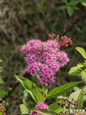 【鏡頭里的六月】+ 六月開始