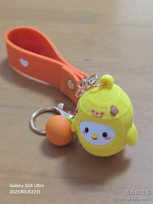 【鏡頭里的六月】小雞盲盒