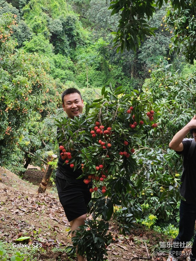 【活動回顧】荔枝味的周末