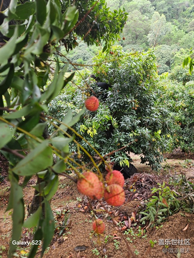 【活動(dòng)回顧】這不得比貴妃開(kāi)心吶