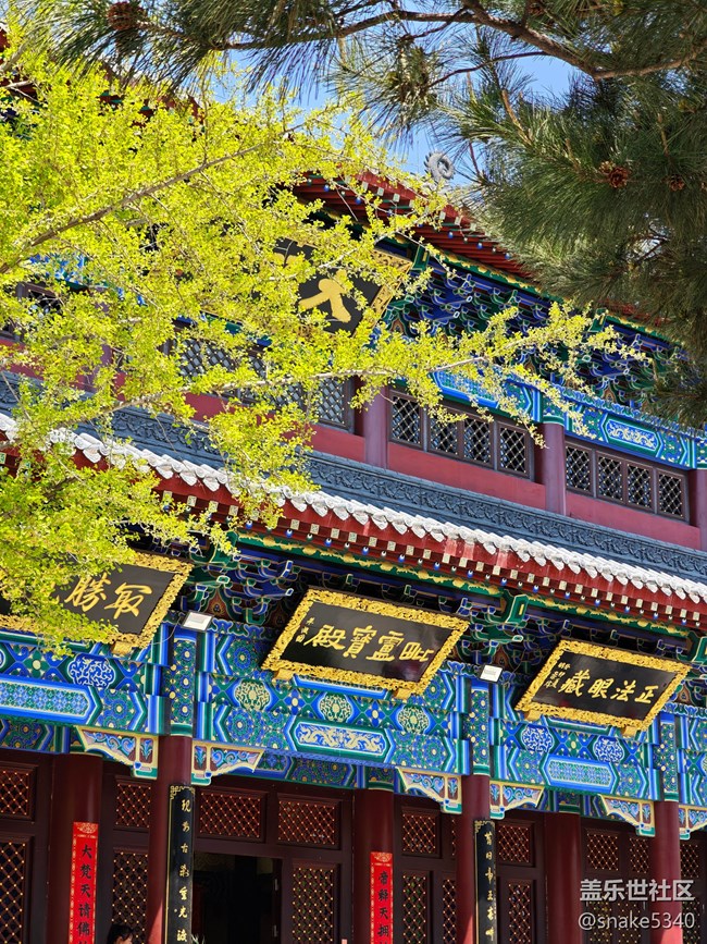 【瞬間及永恒】+金榜題名