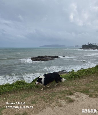 【鏡頭里的六月】東山海無人島