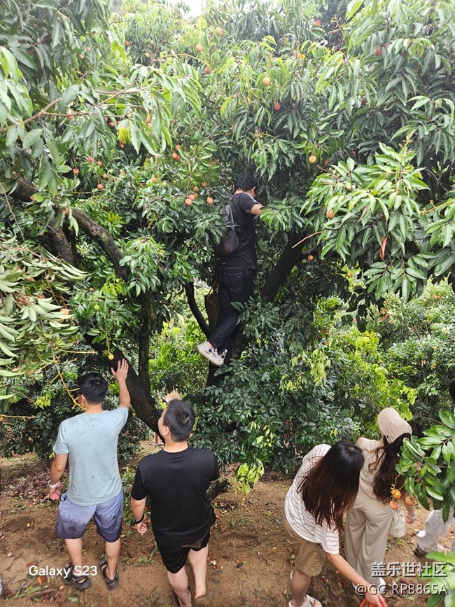 【活動回顧】荔枝味的周末