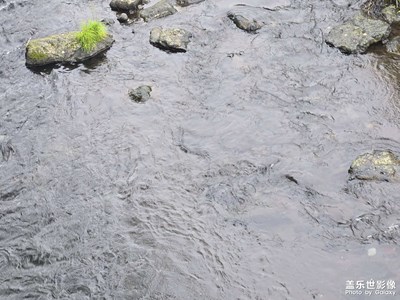 【鏡頭里的六月】+夏天到了