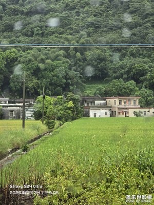 【鏡頭里的六月】廣東六月的雨天