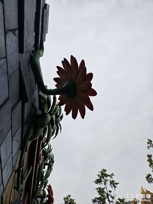 【鏡頭里的六月】+游樂場